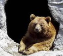 ours